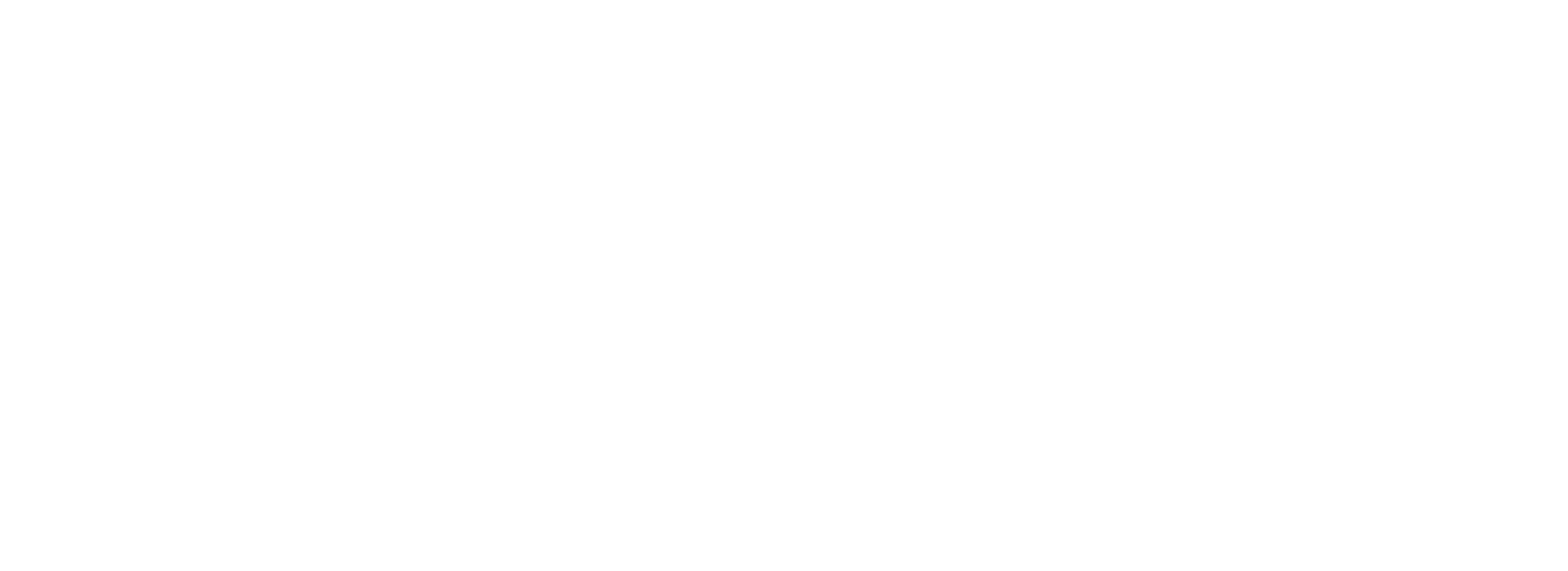 HEDONISTIC  WELLNESS +